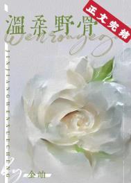 温柔野骨书燃周砚寻