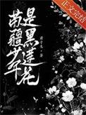 苗疆少年是啥