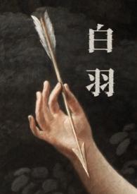 白羽主角