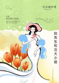 陆先生和你到白头全文免费阅读