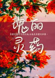 瑰丽 是什么意思
