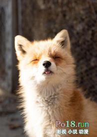睡了反派男二之后(1v1)by岭南铁废