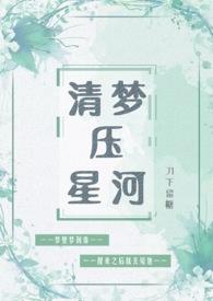 醉里不知身是客