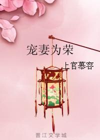 宠妻为上全文阅读