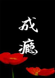 成瘾4v1