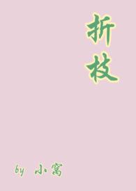 折枝内容