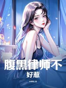 腹黑律师老公