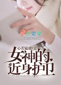 我的近身机械女神
