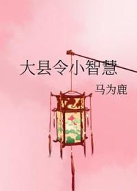 大县令小仵作资源