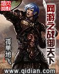 网游之战御天下双飞免费阅读全文笔