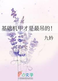 机甲啥意思