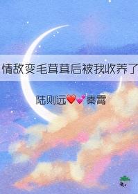 情敌变成了我的猫怎么办在线等急百度