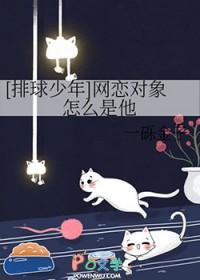 排球少年网恋对象怎么是他