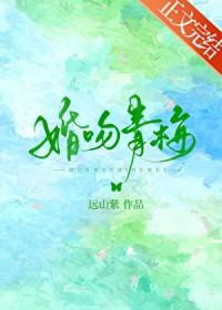 婚吻青梅远山紫番外txt