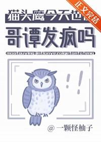 哥谭中的猫头鹰法庭