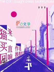 猫买回来一直响换粒红豆