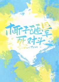 椰子砸晕死对头免费阅读