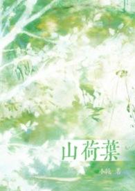 山荷叶花图片