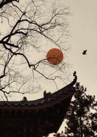 雀儿是什么电视