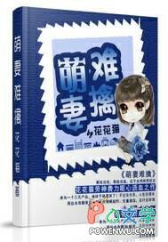 萌妻难求