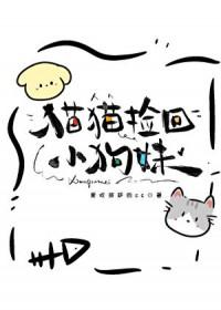 猫捡回来有什么说法