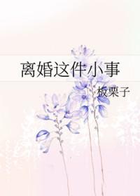 离婚这件小事(近代现代)