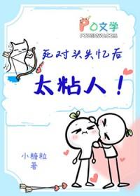 失忆后被死对头骗婚了