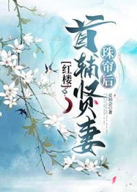 红楼首辅贤妻珠帘后