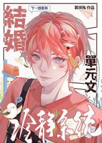 结婚冷静系统by翼扶摇