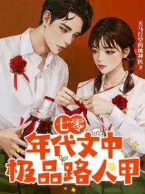 七十年代路人甲穿书楚婷