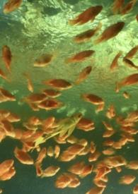 非正常关系在线阅读