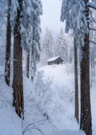 林场到南京站坐几号线