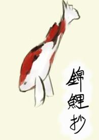 锦鲤抄是什么类型