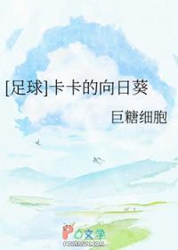 卡卡足球