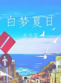 盛夏白日梦