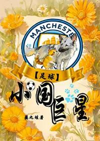 足球小国巨星资源