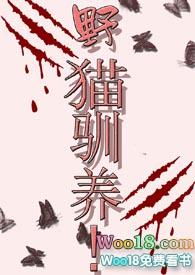 野猫驯养的免费阅读