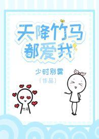 天降竹马游戏攻略大全